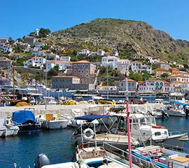 Hydra
