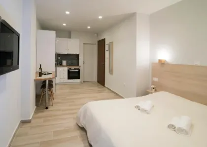 Central Studio -  Ilisia Central Athens