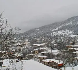 Eptalofos