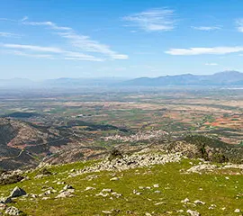 Rodopi