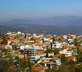 Viotia