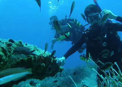 Discover Scuba Diving in Amorgos