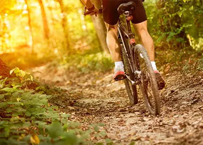 Mountain Bike Tours in Athens
