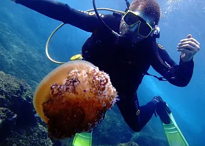 Discover Scuba Diving in Chalkidiki