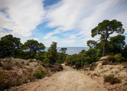 Mountain Biking in Chalkidiki
