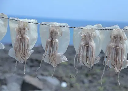 Private Squid Fishing Trip in Paleochora Chania