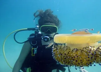 IANTD Open Water Diving Course in Corfu