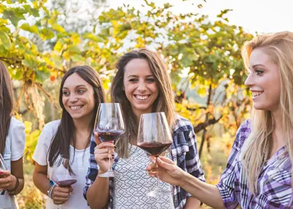 Winery Tour and Organic Fine Wine Tastings in Corinth