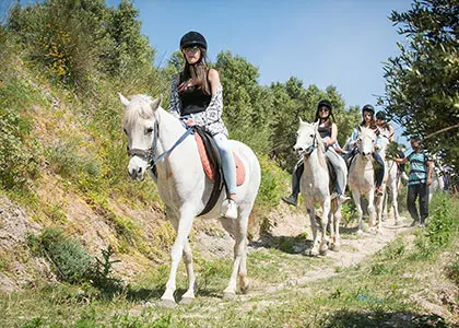 Finikia Horse Riding Day Tour with Lunch in Heraklion