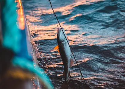 Private Fishing Experience in Milos