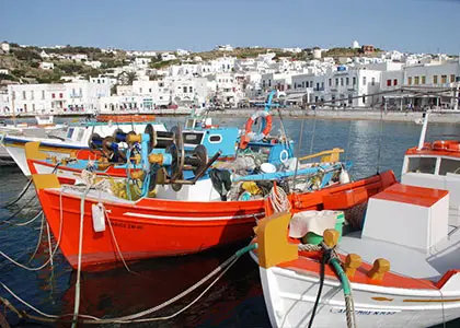 Half-Day City Walking Tour and Island Bus Tour of Mykonos