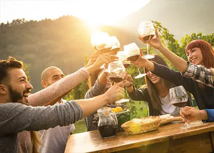 Nemea Vineyards Wine Tour in the Peloponnese
