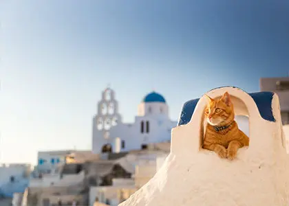 Instagram Highlights Tour with a Photographer in Santorini