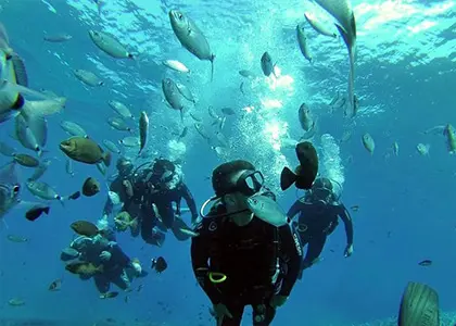 PADI Scuba Diver Courses in Santorini