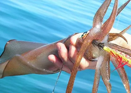 Private Deep-Sea Fishing in Serifos