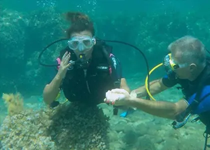 Discover Scuba Diving in Skyros