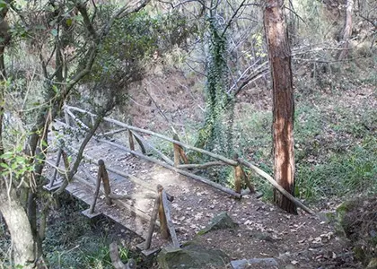 Hiking or Running in Thessaloniki