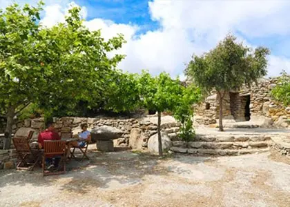 Volacus Vineyards Wine Tasting Experience in Tinos